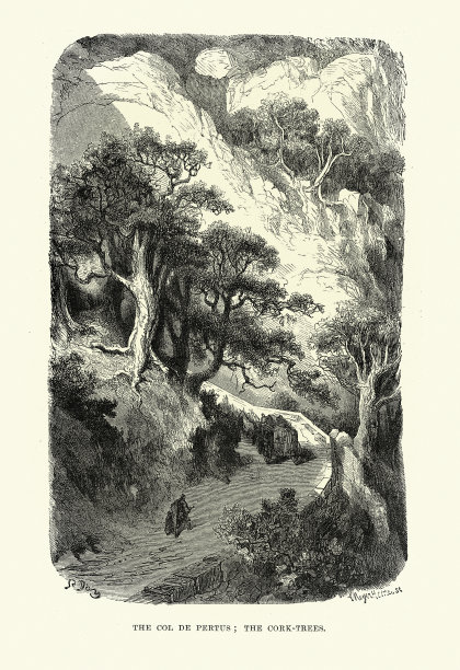 位于法西边境比利牛斯山脉山口的佩尔萨斯山的栓皮栎树图片下载