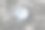 罗虎鱼。图片下载