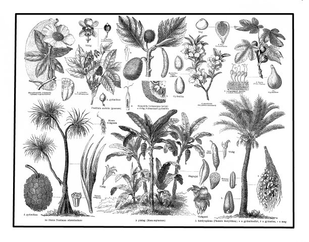 食品工厂图片下载