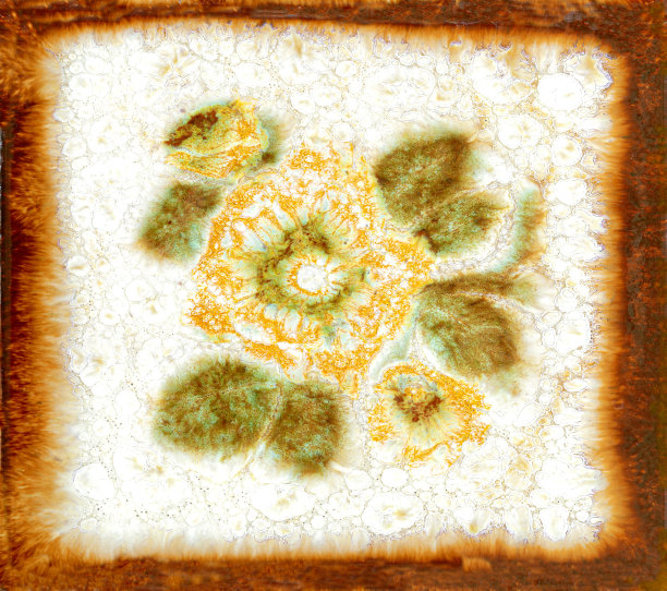 在废弃的房子里发现了带花的瓷砖。图片下载