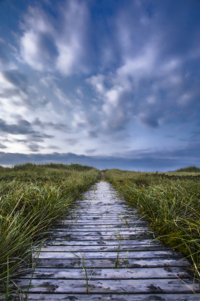 去海滩图片下载