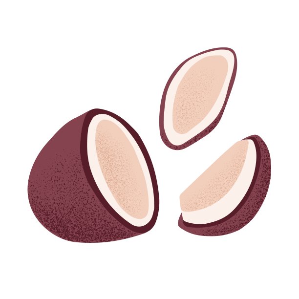 碎椰子，半片和切片。切开棕色外壳的椰子果。新鲜的热带异域食品坚果。平面图形矢量插图孤立在白色背景图片下载