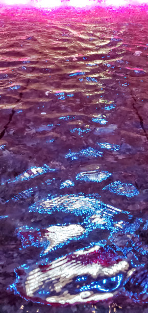 水中的倒影图片下载