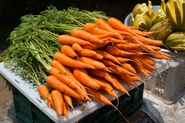 胡萝卜是用途最广、营养最丰富的蔬菜之一。图片下载