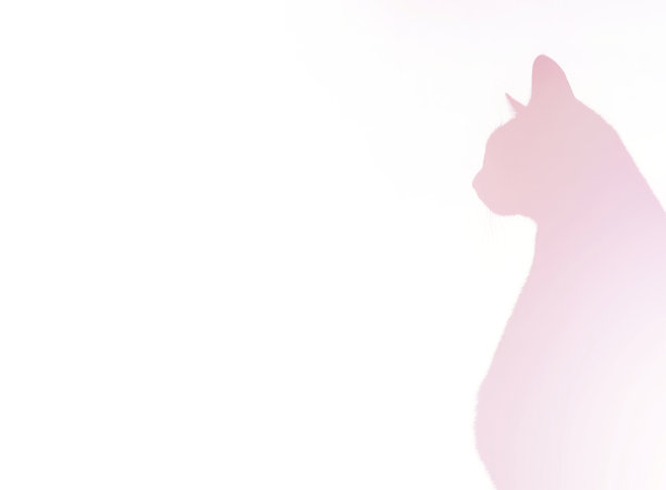 粉红背景猫图片下载