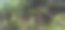 悦榕庄图片下载
