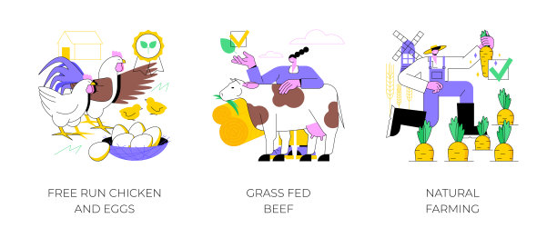 生态农业抽象概念矢量插图。图片下载