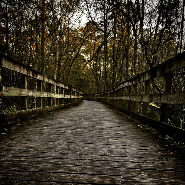 自然板散步图片下载