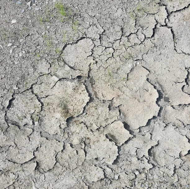 一张有裂缝的表面上长出绿色植物的照片，有裂缝的泥土区域，地上长着草图片下载