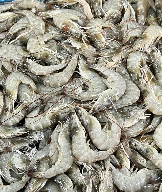 一张桌子上放着一堆虾的照片，一张桌子上放着一堆虾的特写图片下载