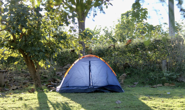 一张在草地中间的帐篷的照片，草地上有一个蓝色的帐篷，旁边是一棵树图片下载