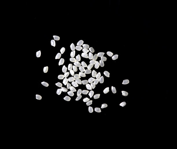 白米饭，白底图片下载