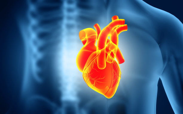 心脏病发作和心脏疾病3D图图片下载