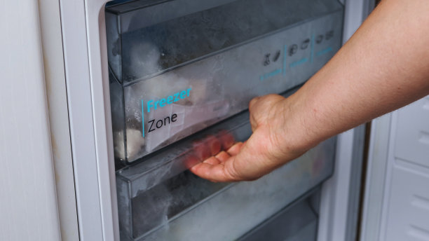 打开冰箱:家庭厨房组织和食物选择图片下载