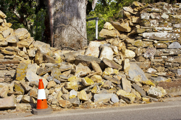 路边的古石墙遗址和大树干。图片下载