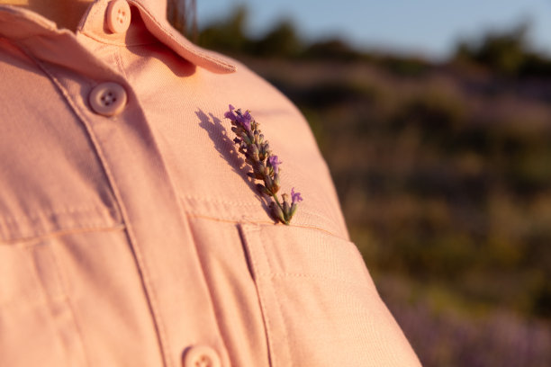 衣服口袋里有一朵薰衣草花图片下载