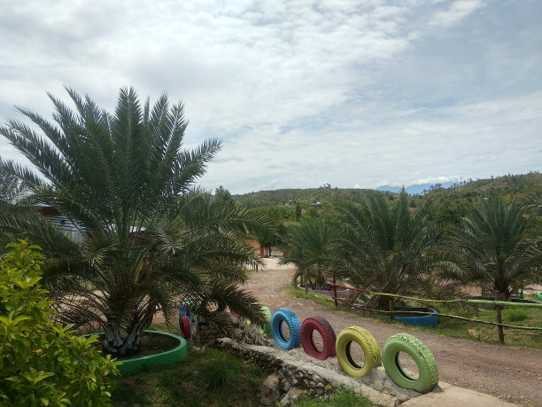 彩色旧轮胎图片下载