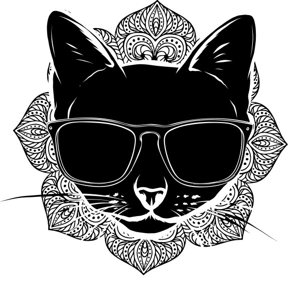 黑色剪影的猫在太阳镜上的白色图片下载