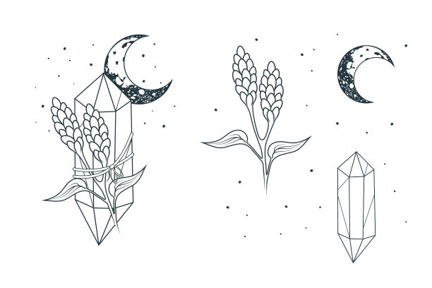 天上的水晶，一朵花，一根树枝和一束元素。手绘一组独立的魔法符号。巫术矢量插图。图片下载