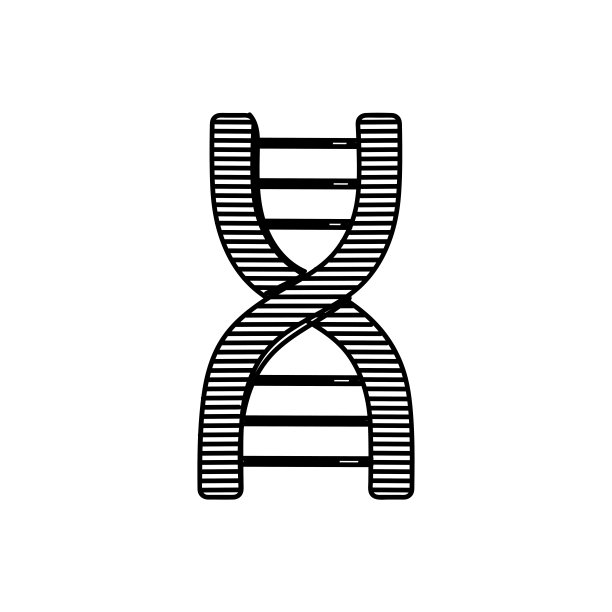 丹线图标，草图设计，像素完美，可编辑笔触。标志、标志、符号。生物学，科学，染色体，遗传学。图片下载