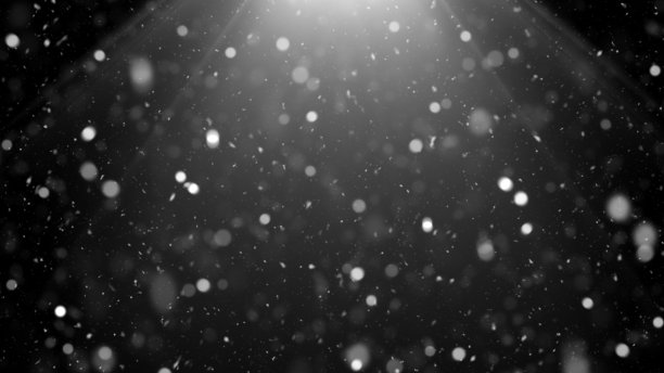 黑夜中的降雪图片下载