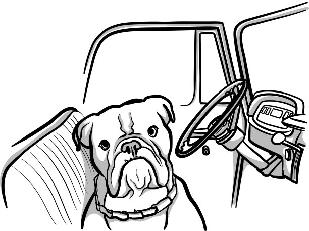 守卫卡车的斗牛犬图片下载