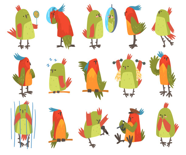 有趣的鹦鹉栖息，照镜子，坐在笼子里大矢量集图片下载