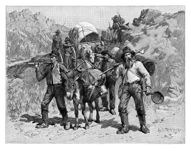 淘金者图片下载