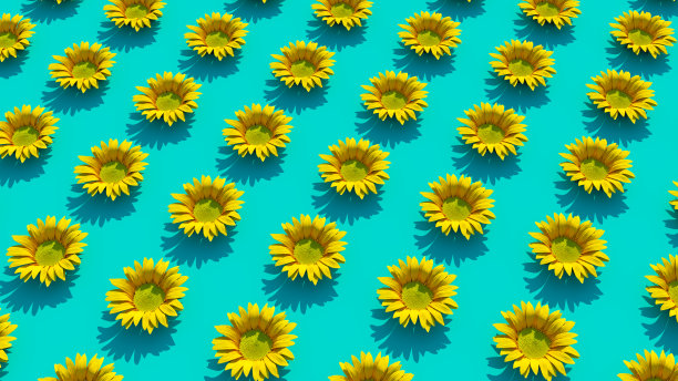 黄色向日葵网格平铺设图案花盛开夏天太阳乐趣蓝绿色蓝色背景图片下载