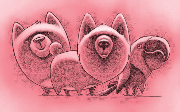 鹦鹉狗和猫图片下载