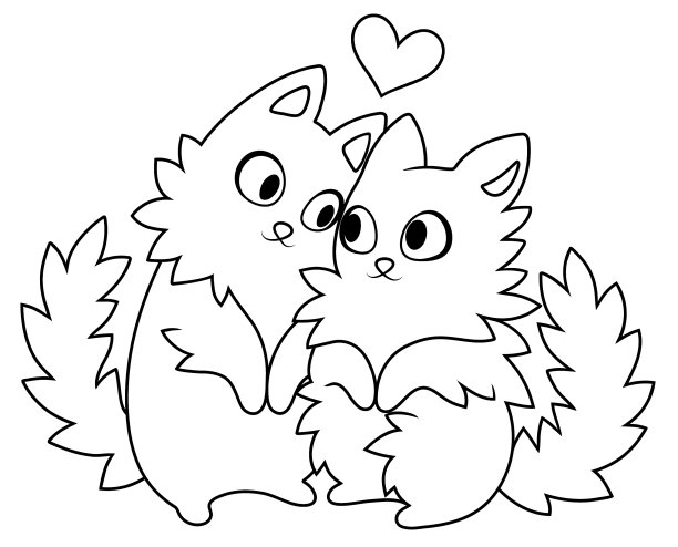 可爱的猫图片下载