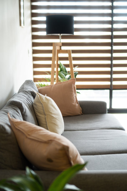 客厅有灰色扶手椅，植物和落地灯图片下载