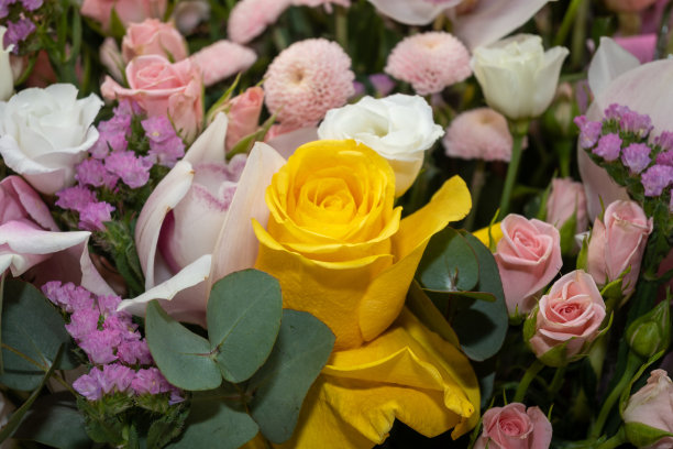 多玫瑰的玫瑰花束照片图片下载