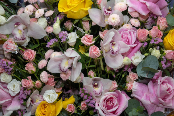 多玫瑰的玫瑰花束照片图片下载