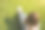 漂亮的时髦女孩坐在户外，时尚的商务女性在绿色的草坪上看智能手机。上网的学生。生活方式的放松。上班族。图片下载