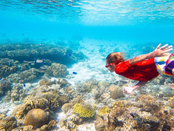 孩子浮潜。孩子们在水下。海滩和大海。图片下载