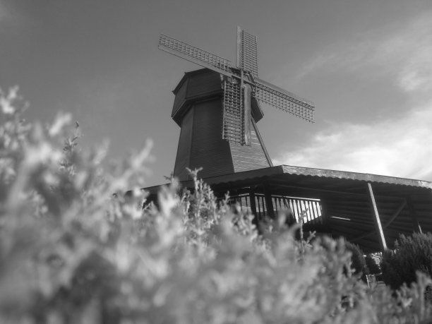 这是一个装饰公园的好主意，适合散步和放松，灵感来自许多欧洲国家的古老童话故事。黑白的。图片下载