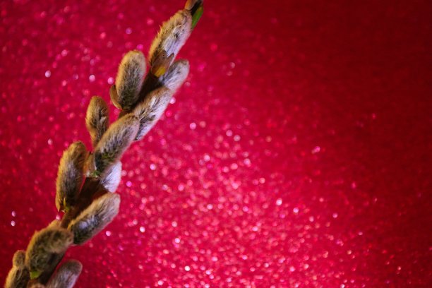 以柳树为背景的复活节装饰品。图片下载