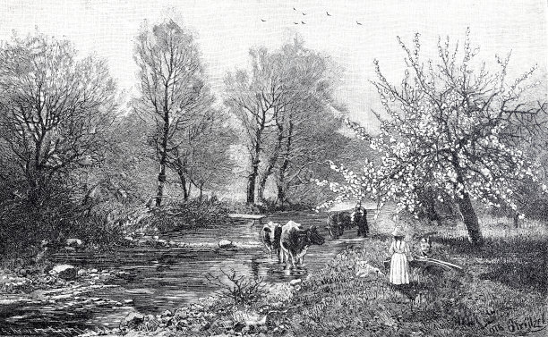 春天的小溪边，奶牛和孩子们玩着独轮手推车图片下载