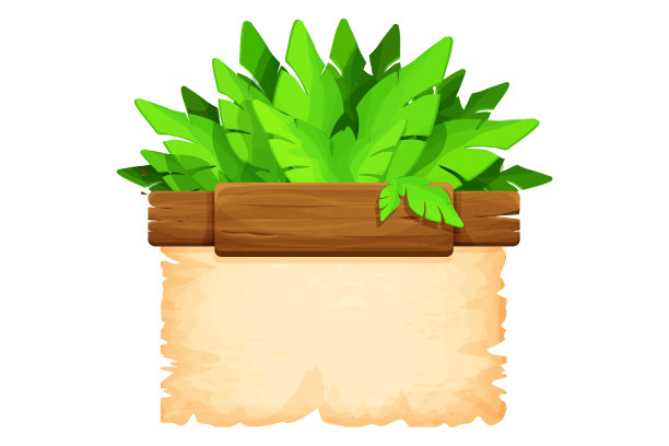 木板和羊皮纸丛林框架图片下载