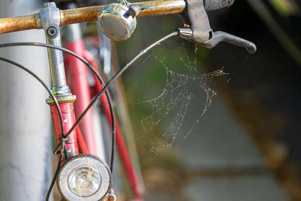 旧自行车的特写，锈迹斑斑，布满蜘蛛网图片下载