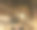 给树上的猫拍照图片下载