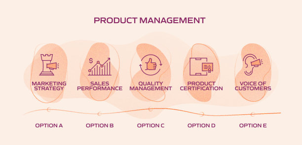 产品管理相关流程信息图模板。过程时间图。带图标的工作流布局图片下载