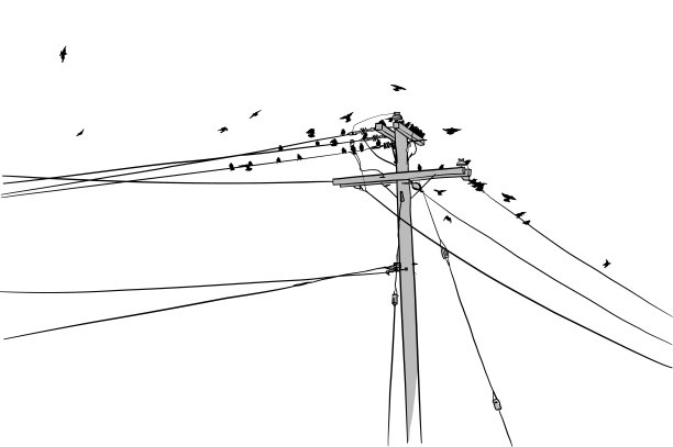 鸟类的巢穴图片下载