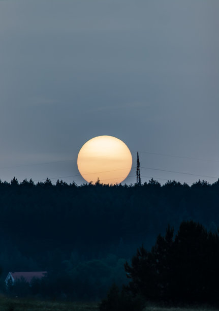 松树林和电线后面的夕阳的望远镜视图图片下载