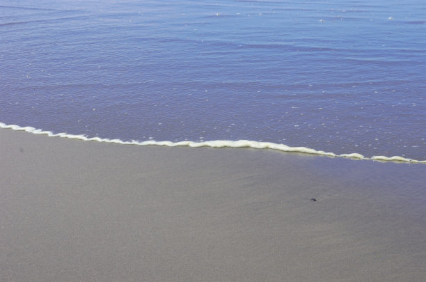 海滩上的水线向下看图片下载