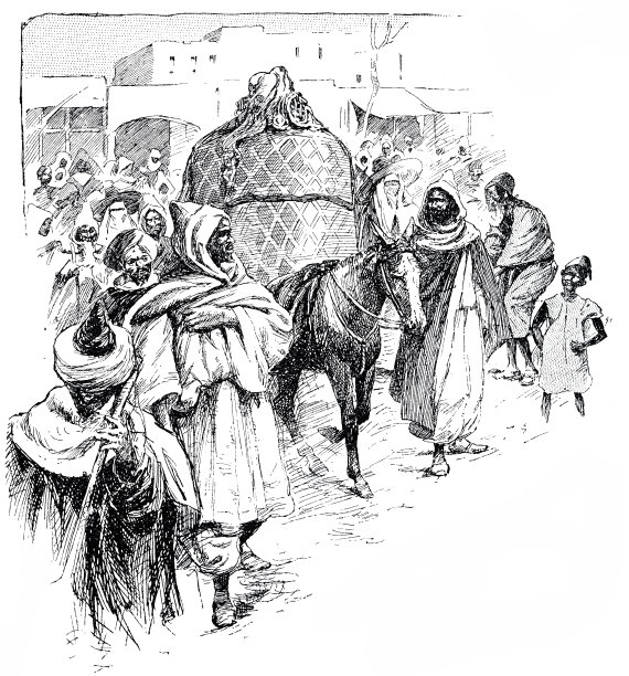 苏丹的新娘图片下载