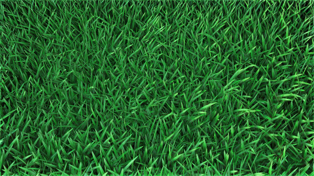 绿色草地的俯视图。特写镜头的背景。3 d渲染。图片下载