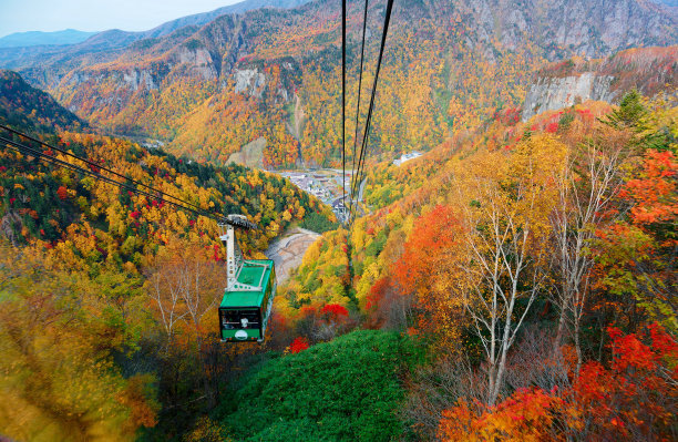 A breathtaking view from a cable car of Kurodake Ropeway flying over colorful autumn forests on the mountainside in Sounkyo Gorge (层云峡) in Daisetsuzan (大雪山) National Park, in Kamikawa, Hokkaido Japan图片下载