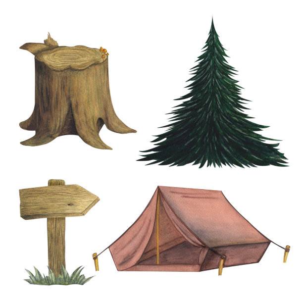 树桩，砍树干。杉树，云杉。木制标志，盾牌，箭头，指针。露营用的帆布帐篷。白色背景水彩插图。手绘图片下载